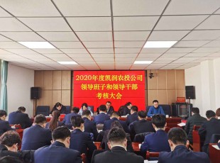 臨夏州凱潤農(nóng)牧投資發(fā)展集團有限公司 召開2020年度領(lǐng)導(dǎo)班子和領(lǐng)導(dǎo)干部考核大會